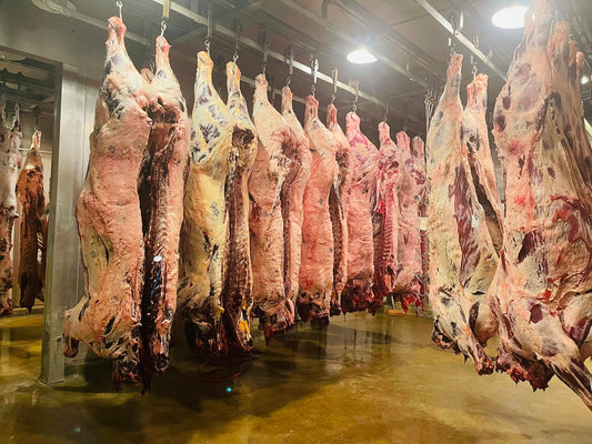 Whole or Half TEXAS PASTURE RAISED BEEF! Grass fed, grain Finished.