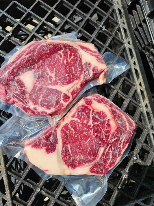 Houston Livestock Show Jr Commercial Steer Premium Beef!