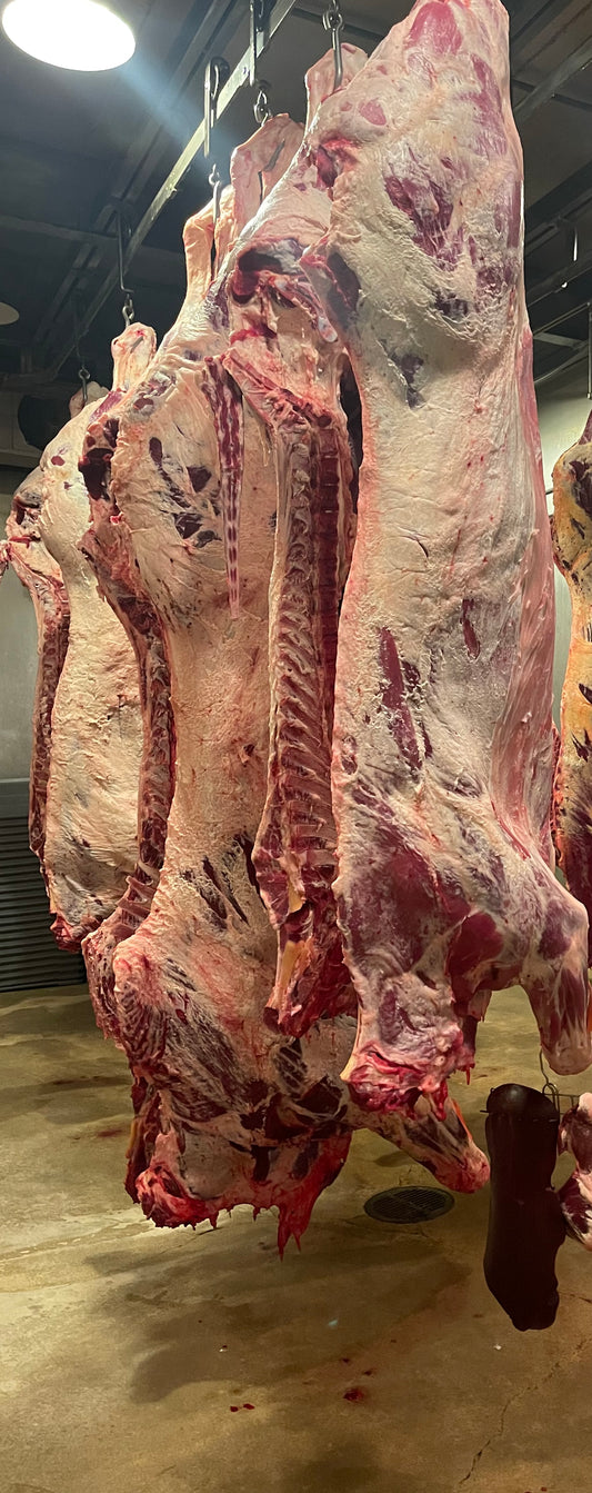 TEXAS Pasture RAISED WAGYU/Angus BEEF! Grass fed, grain Finished.